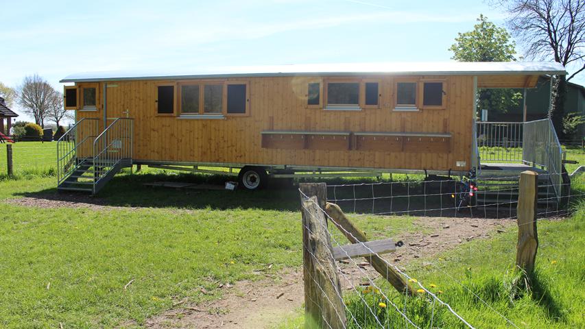 Waldwagen1 Waldwagen1